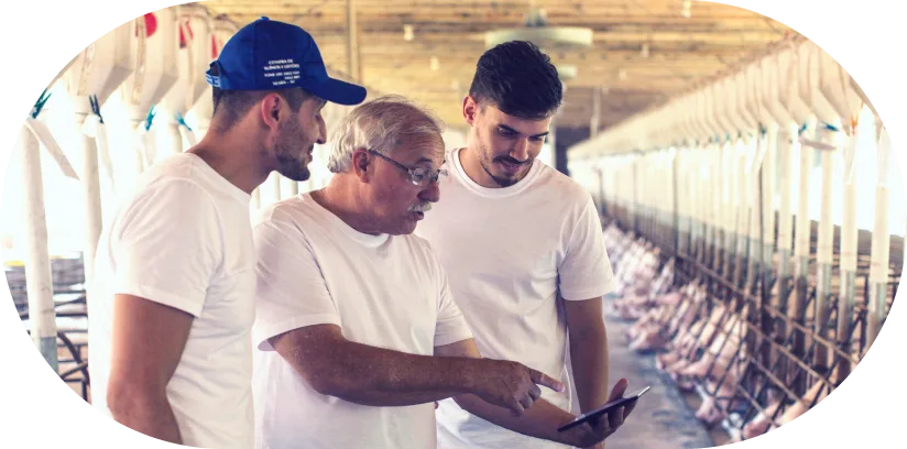 agriness-academy-curso-diagnostico